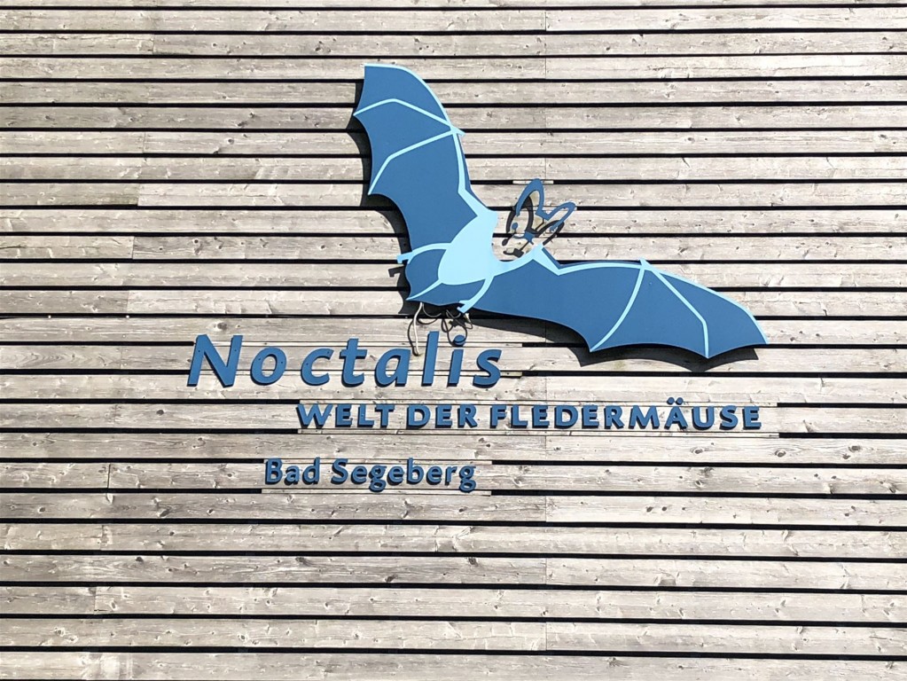 Noctalis - die Welt der Fledermäuse